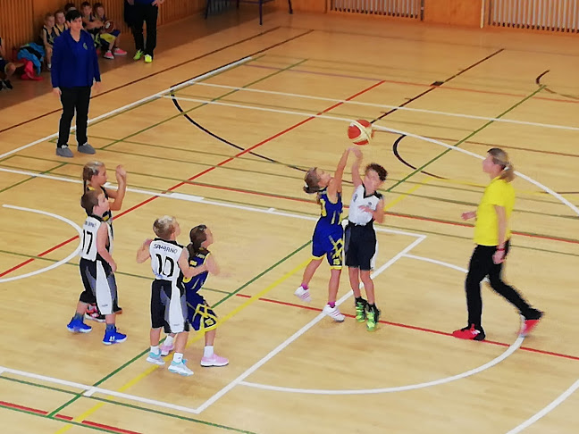 Sportovní hala Podolí - Tělocvična