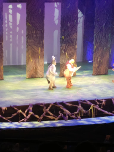 Performing Arts Group «Lincoln Park Performing Arts Center», reviews and photos