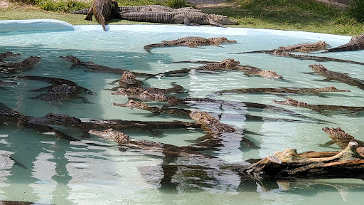 Theme Park «Fun Spot America Theme Parks-Orlando», reviews and photos, 5700 Fun Spot Way, Orlando, FL 32819, USA