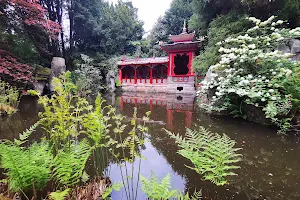 National Trust - Biddulph Grange Garden image