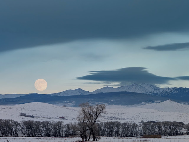 Chris Crown - State Farm Insurance Agent