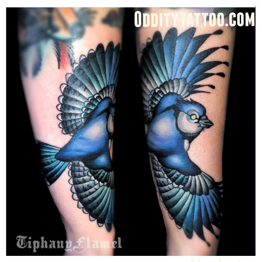 Art Gallery «Oddity Tattoo Studio & Gallery», reviews and photos, 1778 Main St, Sarasota, FL 34236, USA