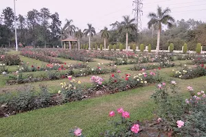 Rose Garden Faridabad image