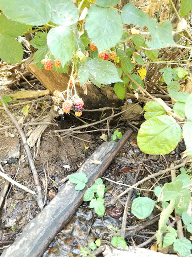 Tourist Attraction «Rainbow Pools», reviews and photos, CA-120, Groveland, CA 95321, USA