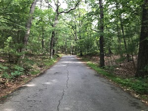 Prospect Hill, Waltham, Massachusetts - photo 5