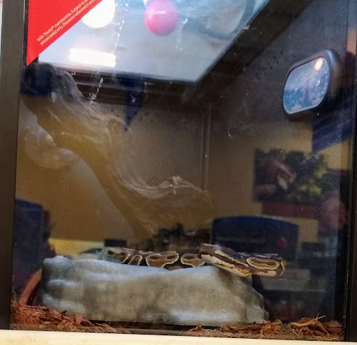 Pet Supply Store «PetSmart», reviews and photos, 842 Dawsonville Hwy, Gainesville, GA 30501, USA