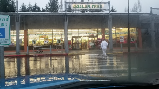 Dollar Store «Dollar Tree», reviews and photos, 1039 Bethel Ave, Port Orchard, WA 98366, USA