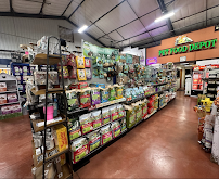 Pet Food Depot - Photo 8 - Car repair in Phoenix, AZ, Phoenix
