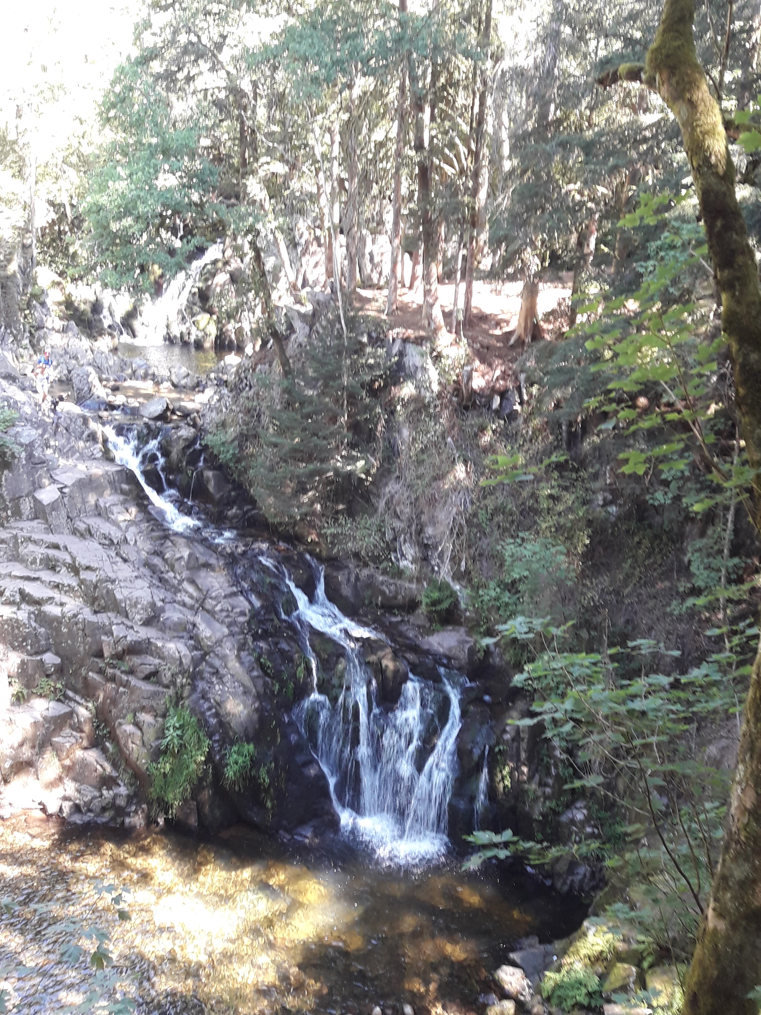 Photo n° 2 de l'avis de Matth.i fait le 31/08/2021 à 09:24