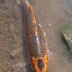 Photo n°1 de l'avis de Paola.a fait le 15/09/2021 à 08:55 sur le  Lago Montalbano à Carmignano