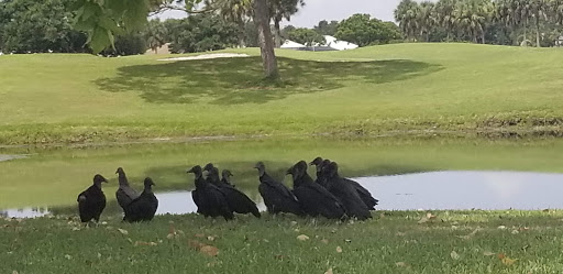 Golf Club «Meadowood Golf and Tennis Club», reviews and photos, 9425 Meadowood Dr, Fort Pierce, FL 34951, USA