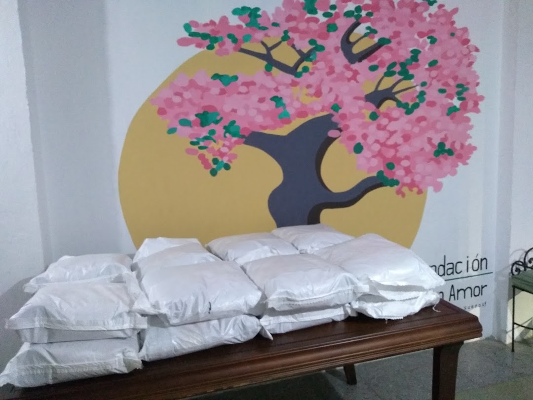 Fundación De Julia Con Amor