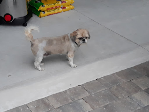 Pet Supply Store «Pet Supermarket», reviews and photos, 1020 S Ponce De Leon Blvd, St Augustine, FL 32086, USA