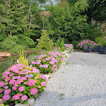 Photo n°3 de l'avis de Stefan.u fait le 04/07/2023 à 09:19 sur le  Agriturismo Il Talento Nella Quiete à Castiglione d'Intelvi