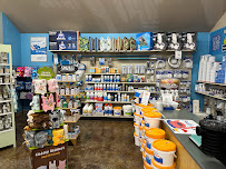 Davis Home Trends - Photo 7 - Car repair in Davis, CA, Vacaville