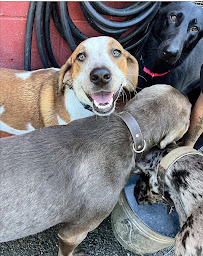 Ozzy's Playhouse - Photo 3 - Car repair in Warwick, RI, Providence