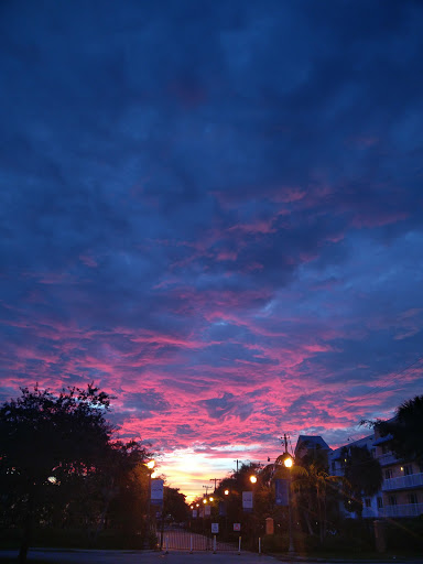 Tobacco Shop «Laughing Buddha Smoke Shop», reviews and photos, 12404 Biscayne Blvd, North Miami, FL 33181, USA