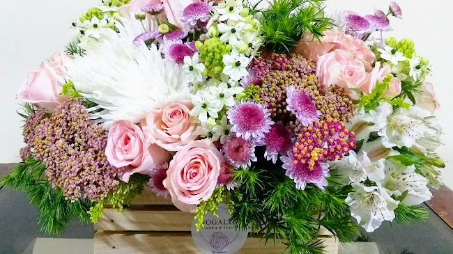 Opiniones de Floreria Nogalte en Samborondón - Floristería