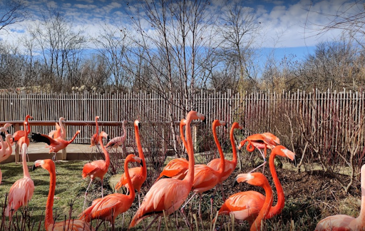 Zoo «Indianapolis Zoo», reviews and photos, 1200 W Washington St, Indianapolis, IN 46222, USA