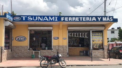 El Tsunami Ferreteria