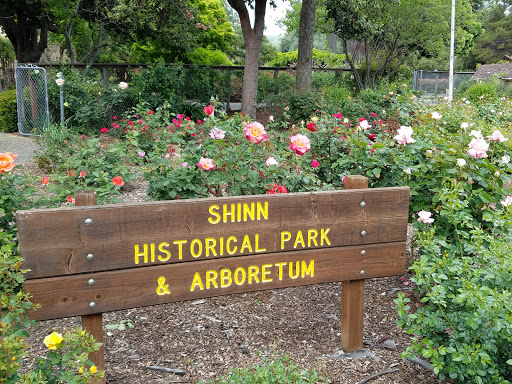 Shinn Historical Park and Arboretum
