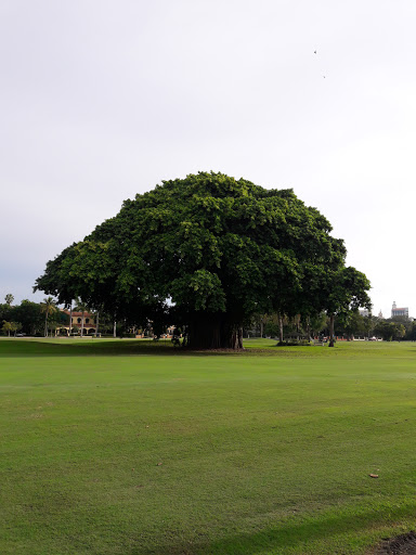 Event Venue «THE CORAL GABLES COUNTRY CLUB», reviews and photos, 997 N Greenway Dr, Miami, FL 33134, USA