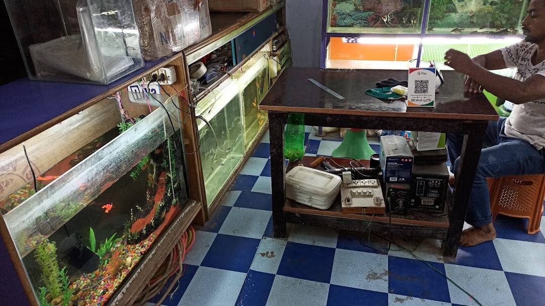 Fish World