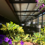 Photo n°6 de l'avis de Maril.s fait le 17/08/2022 à 15:32 sur le  Casa do Lago à Mondim de Basto