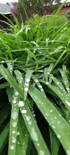 Tourist Attraction «Emerson Kaleidoscope», reviews and photos, 5340 NY-28, Mt Tremper, NY 12457, USA