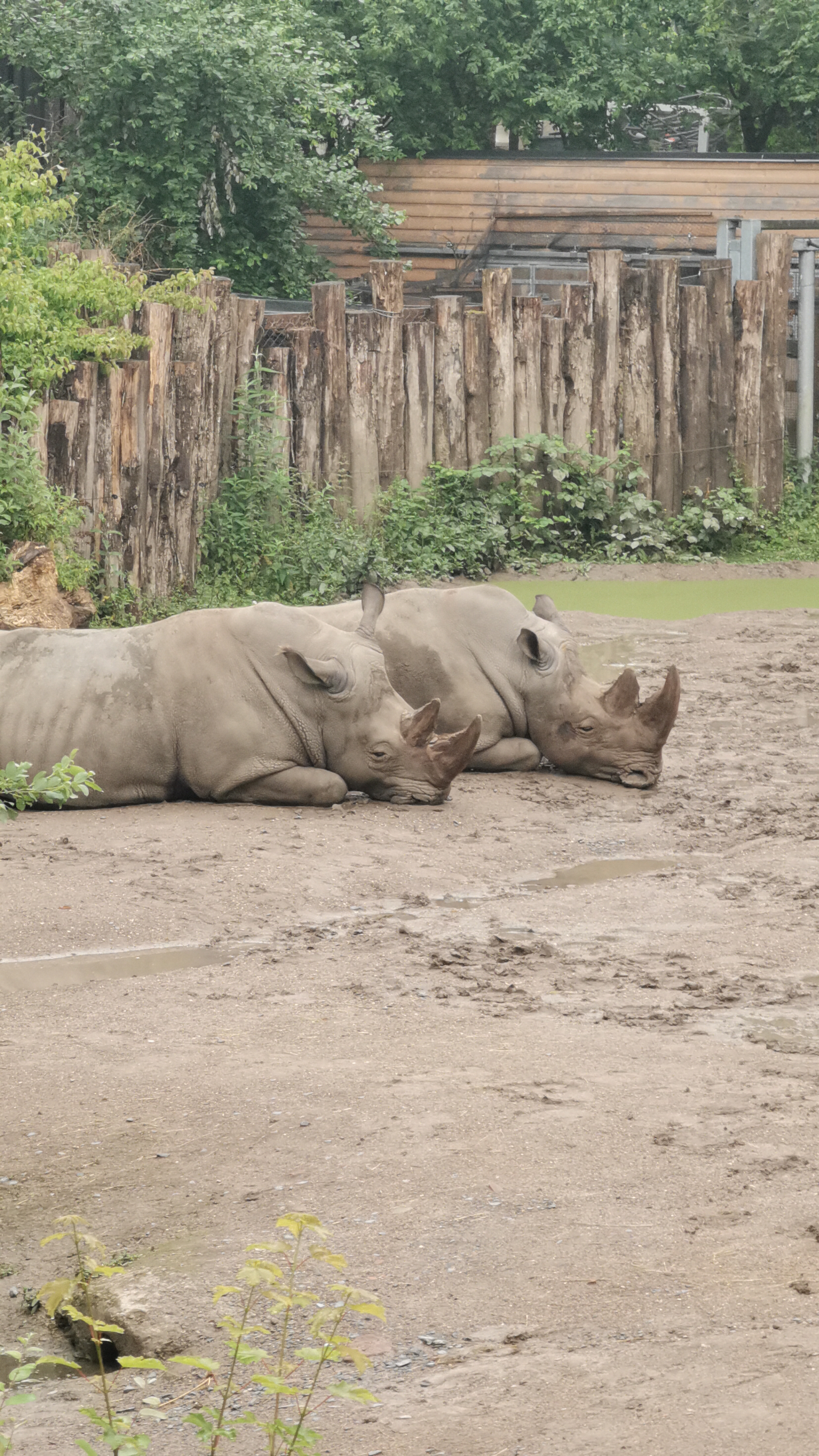 Photo n° 5 de l'avis de Bianca.a fait le 05/06/2022 à 15:50