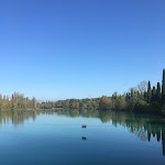 Photo n°1 de l'avis de Sara. fait le 10/12/2019 à 21:58 sur le  La Littorina del Mincio à Valeggio sul Mincio