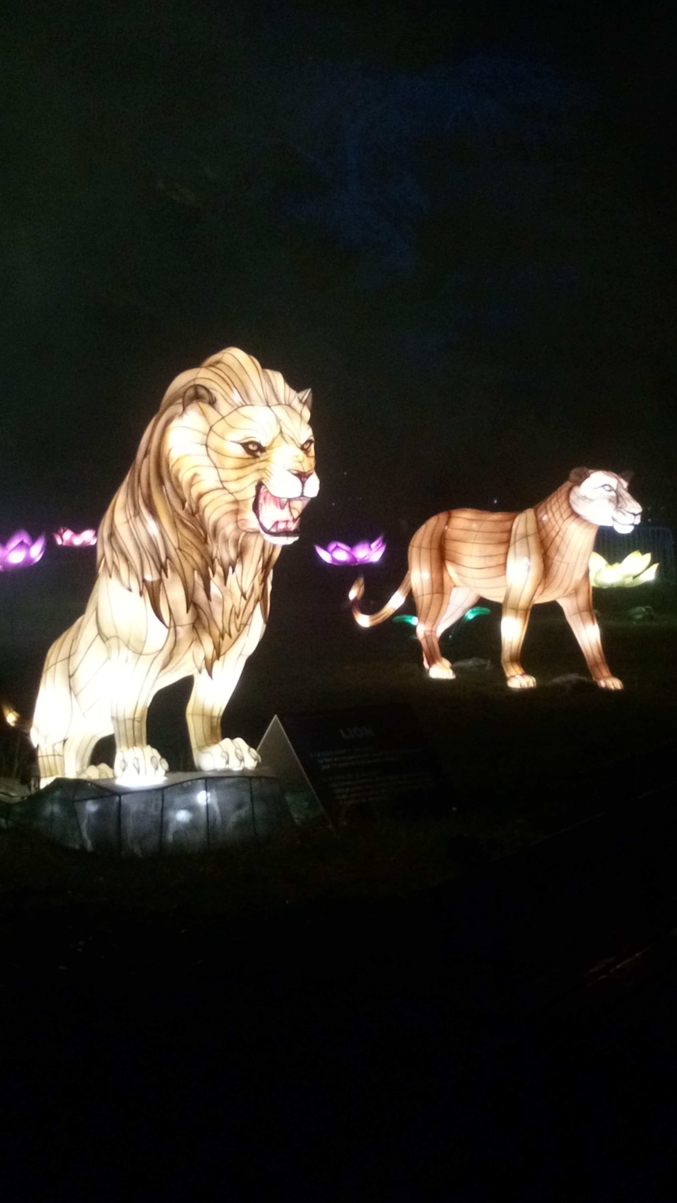 Photo n° 4 de l'avis de Veronique.A fait le 31/12/2019 à 19:05