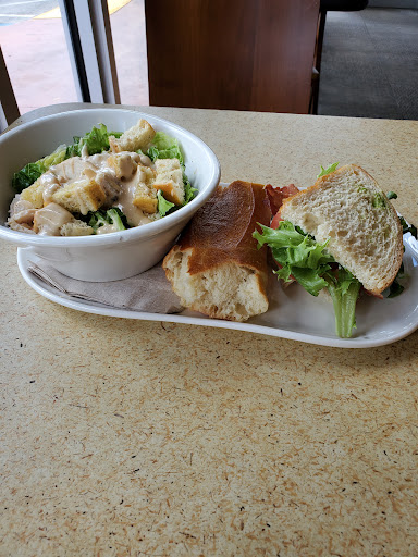 Sandwich Shop «Panera Bread», reviews and photos, 2493 Northeast 9th Court, Homestead, FL 33033, USA