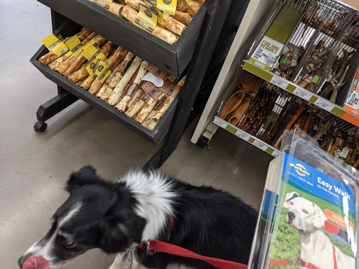Pet Supply Store «Pet Food Express», reviews and photos, 3160 20th Ave, San Francisco, CA 94132, USA
