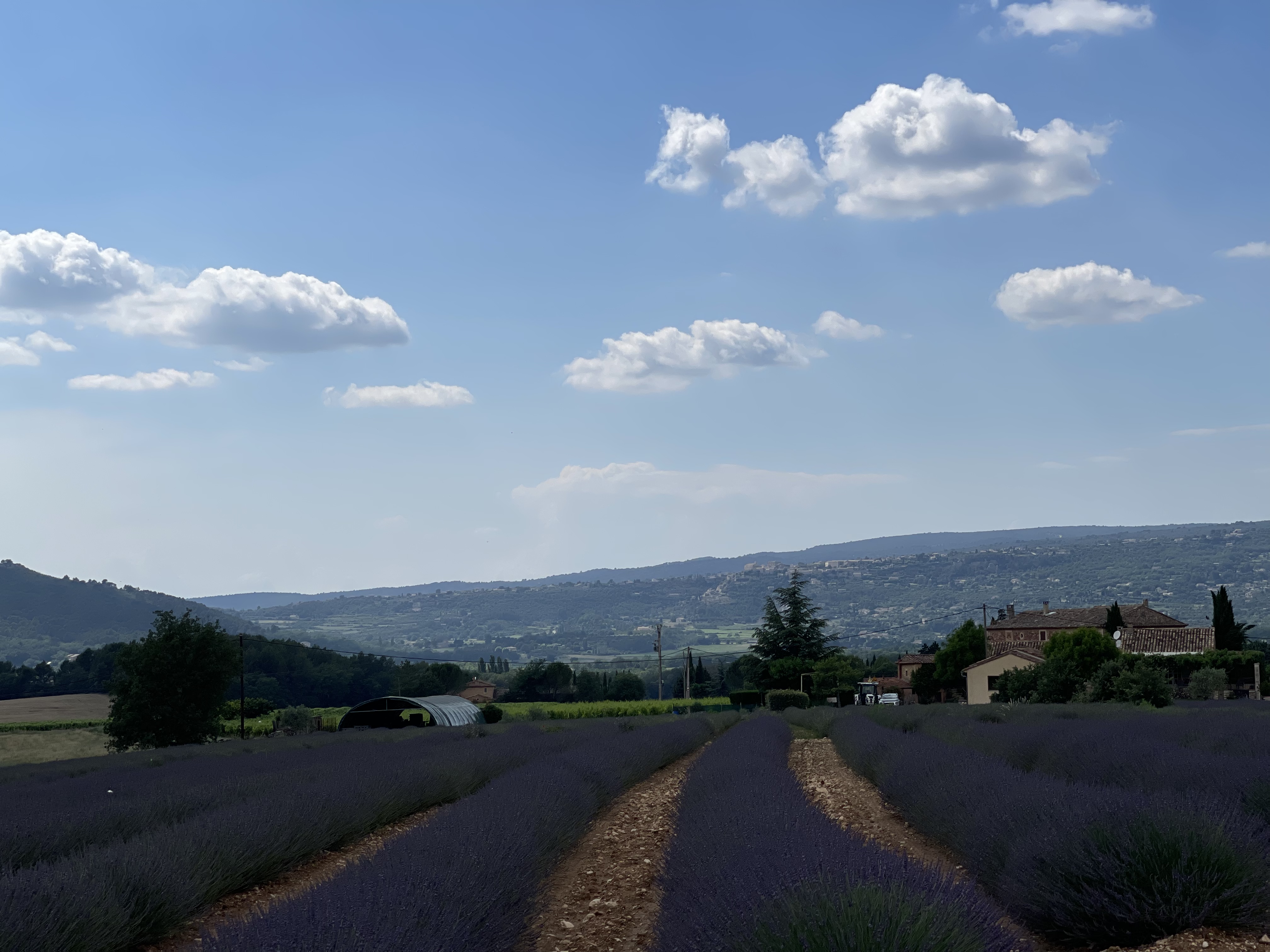 Photo n° 2 de l'avis de lingyan.e fait le 14/06/2023 à 18:38