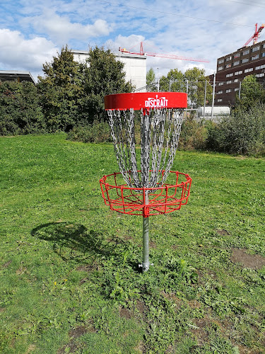 Rezensionen über Disc Golf Parcours Greifensee in Zürich - Sportstätte