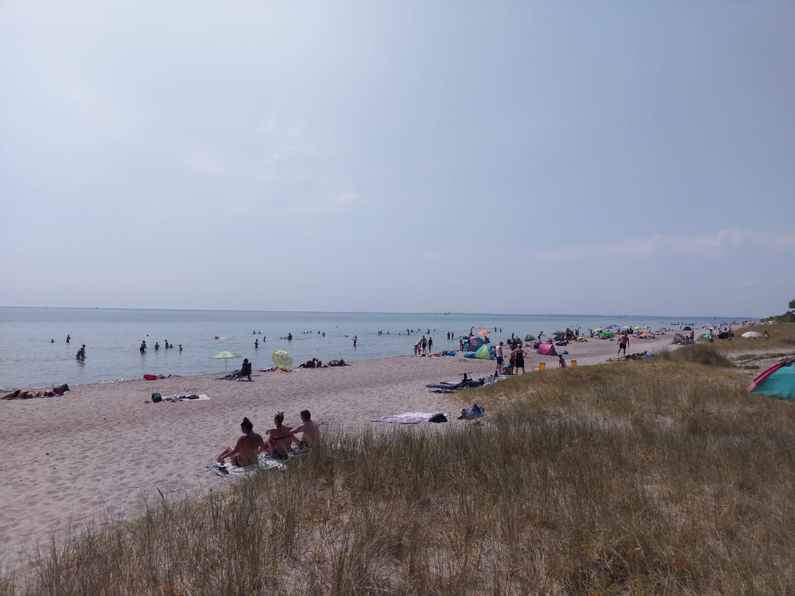 Photo of Skovmose strand with very clean level of cleanliness