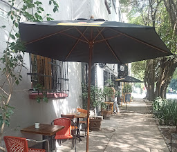 Little Cow Anzures photo