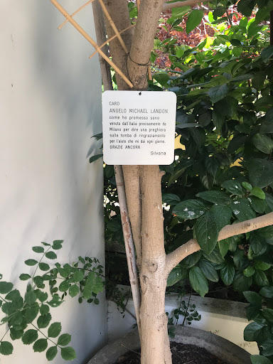 Cemetery «Hillside Memorial Park & Mortuary», reviews and photos, 6001 W Centinela Ave, Los Angeles, CA 90045, USA