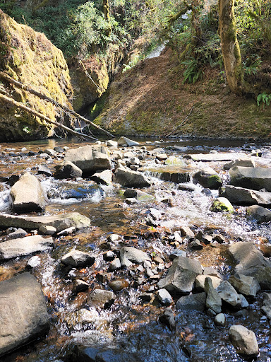 Tourist Attraction «Bridal Veil Falls», reviews and photos, E Crown Point Hwy, Bridal Veil, OR 97010, USA