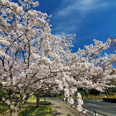 牧野ヶ池緑地 西口南側駐車場