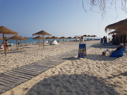 Photo de Ilha da Culatra et le règlement