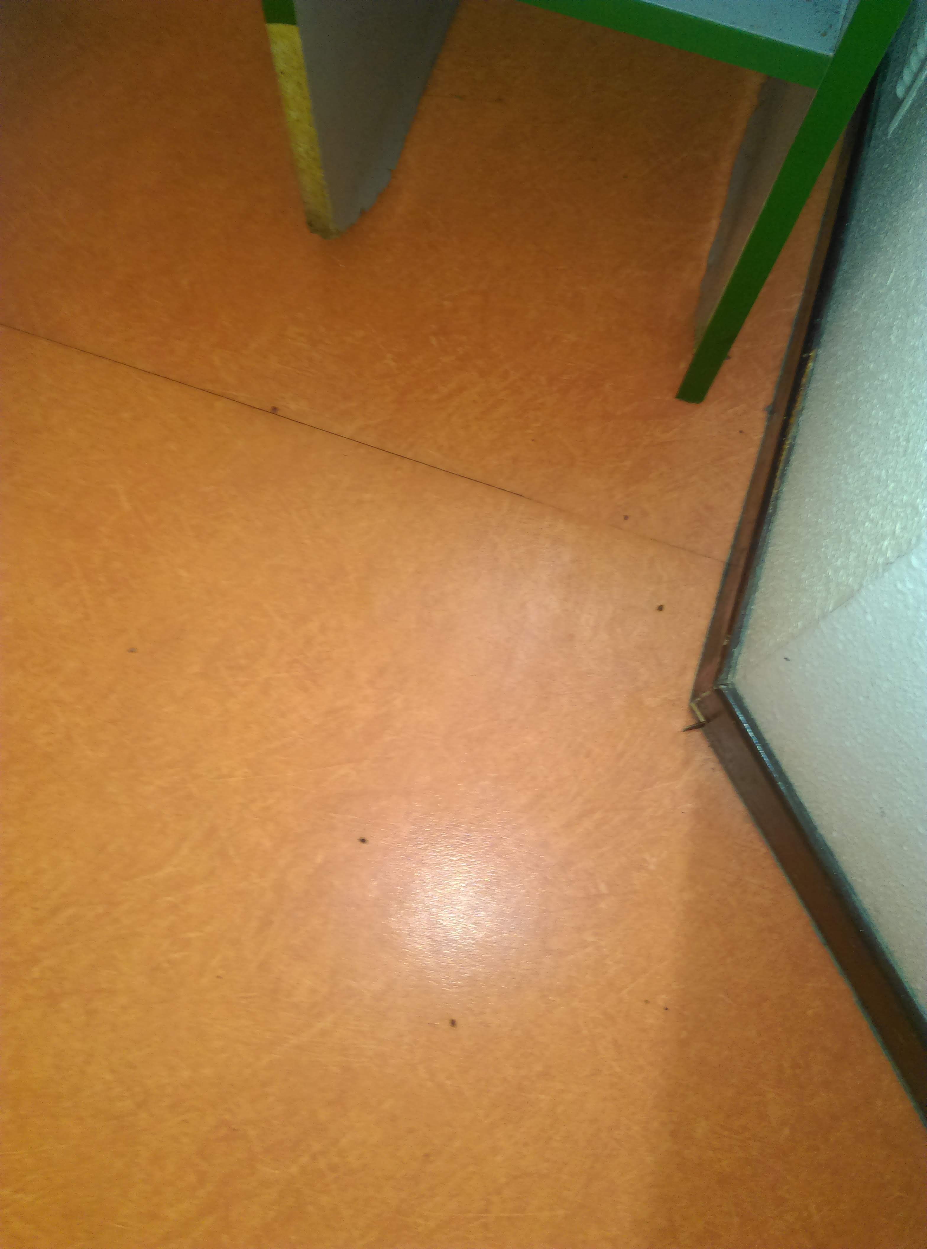 Photo n° 3 de l'avis de Audrey.o fait le 13/06/2019 à 06:33