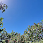 Photo n° 1 de l'avis de D. fait le 11/06/2022 à 05:47 pour La Cabasse à Bormes-les-Mimosas