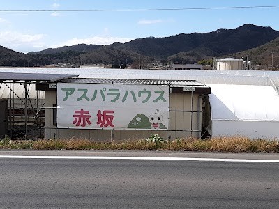 アスパラ赤坂