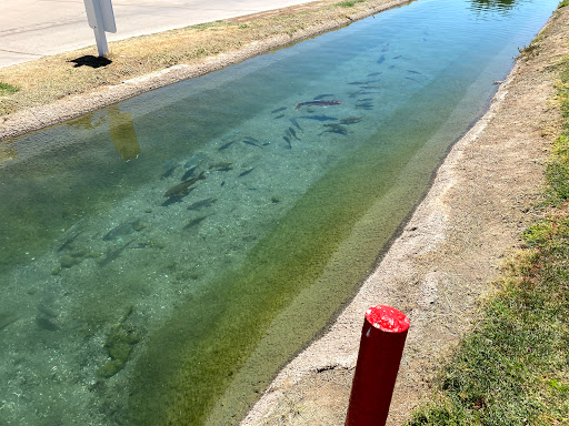 Golf Resort «Wigwam Golf Club», reviews and photos, 451 N Old Litchfield Rd, Litchfield Park, AZ 85340, USA