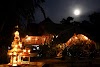 The Wild Orchid Resort Logo, India, Hotel