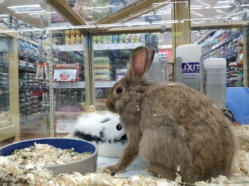 Pet Supply Store «Pet Supermarket», reviews and photos, 2090 E Arapaho Rd, Richardson, TX 75081, USA