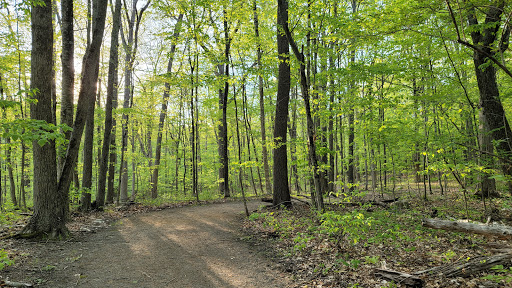 Nature Preserve «Wolf Rock Nature Preserve», reviews and photos, 251 Clover Mill Rd, Storrs, CT 06268, USA