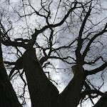 Photo n° 4 de l'avis de Renaud.e fait le 07/04/2019 à 18:00 pour Arboretum des Grandes Bruyères à Ingrannes